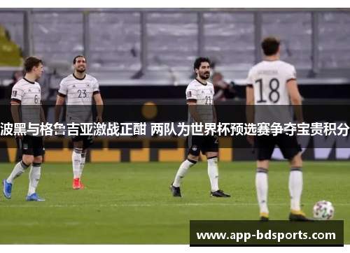 波黑与格鲁吉亚激战正酣 两队为世界杯预选赛争夺宝贵积分